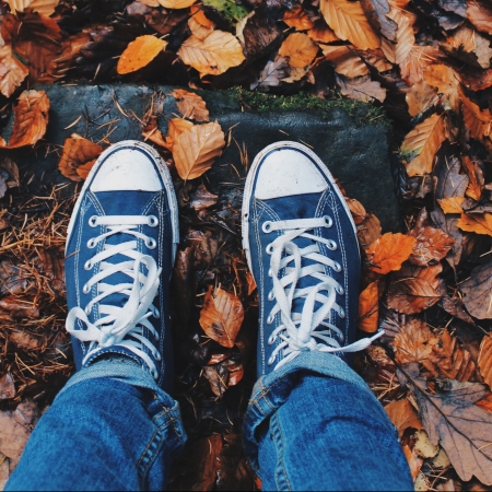 herfst online diëtist