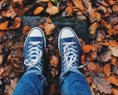 herfst online diëtist